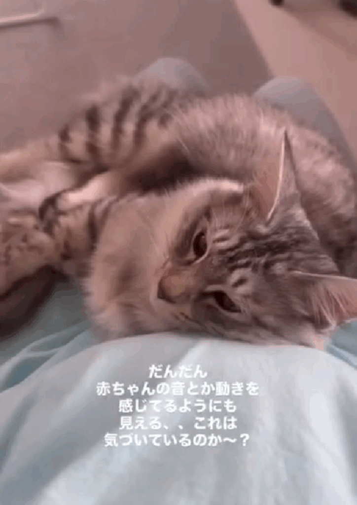 赤ちゃんの存在を感じている？（@mugita_515さんより提供）