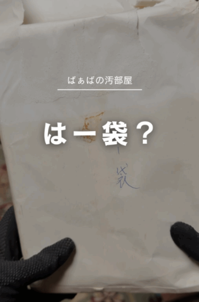 【実際の写真】衝撃のモノ