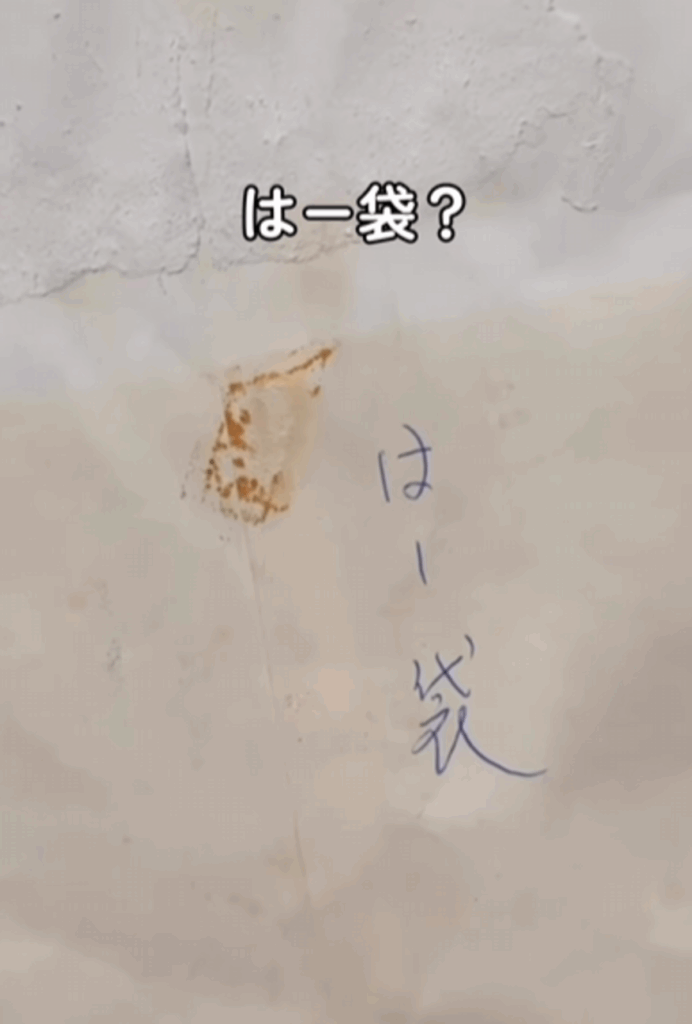 「はー袋」と書かれた封筒を発見（@hachi_minimal_kurashiさんより提供）