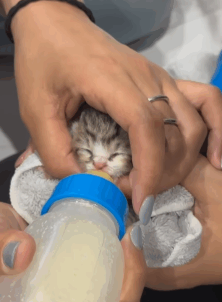 【実際の写真】現在の様子