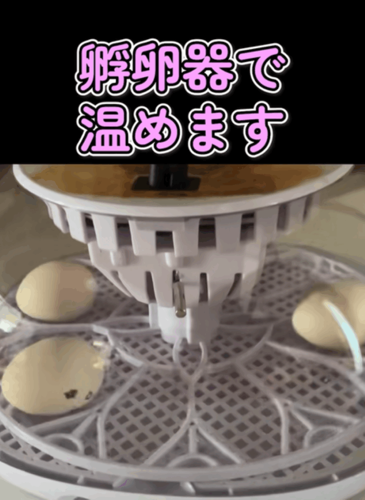 【実際の写真】まさかの結果