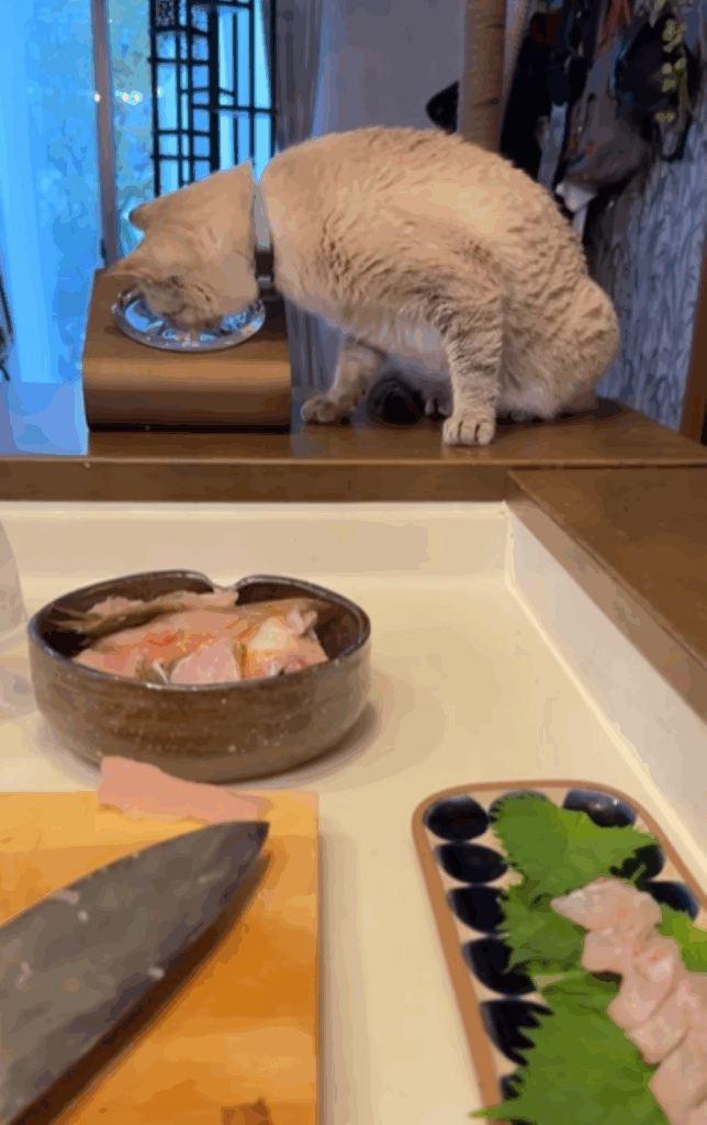 お裾分けをもらう様子（＠ccchisa76さんより提供）