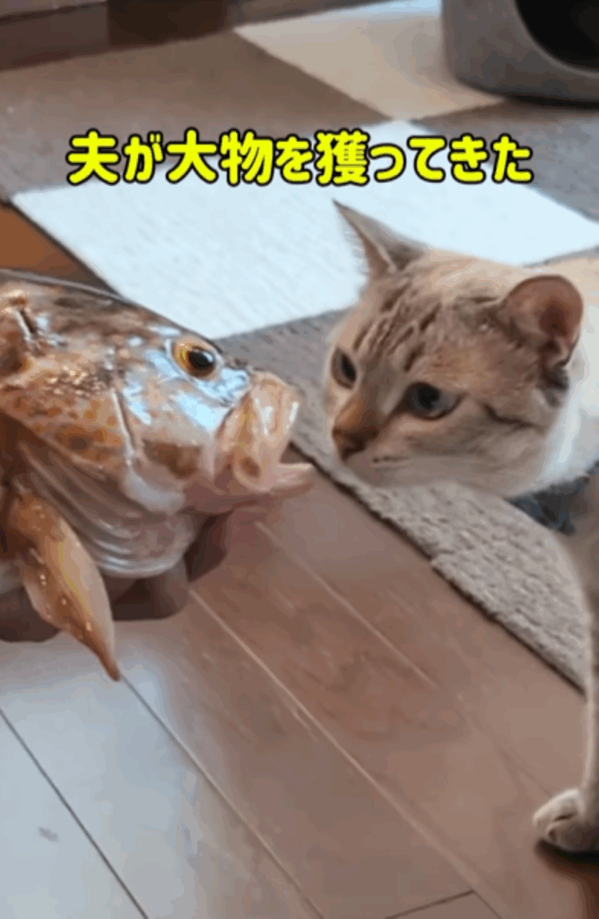 【実際の写真】隣をよく見ると