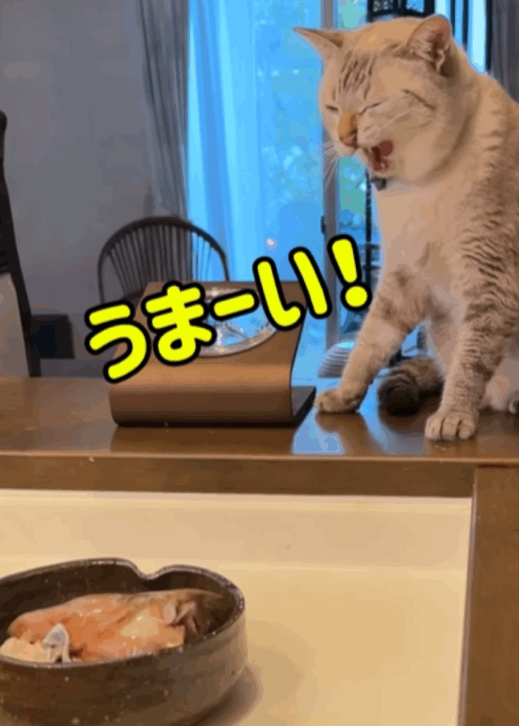 満足したくうくん（＠ccchisa76さんより提供）