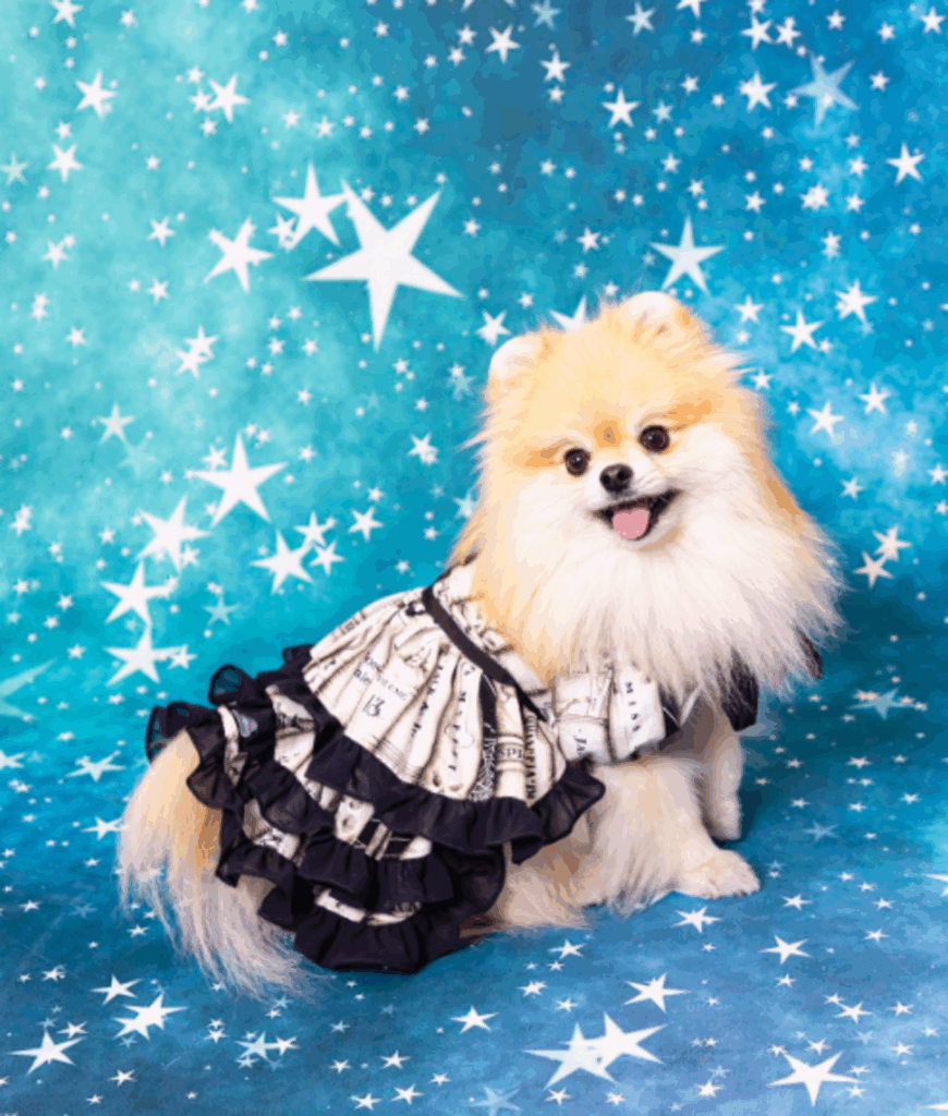 身代わり毛玉幻獣 張り子犬くん Your ally💫🛏️ 最近友だちと喧嘩ばかりしてしまう子犬くんは