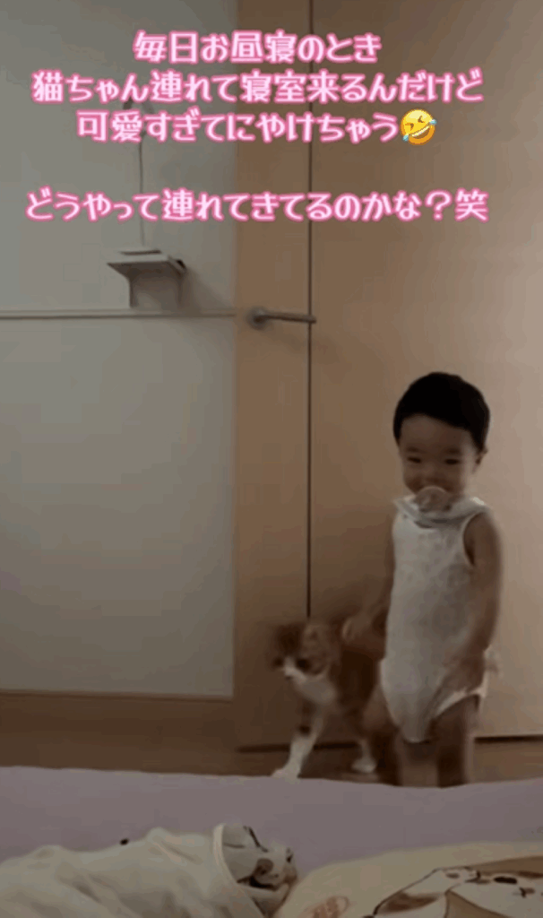 お昼寝タイム（＠popeco_さんより提供）