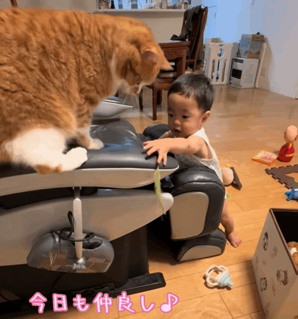 【実際の写真】お昼寝のときに連れてくるもの