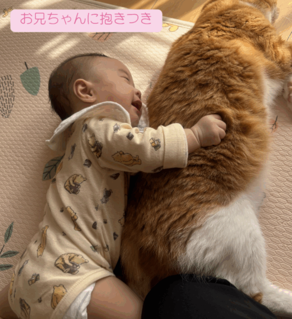 ぽこくんに抱きつく息子さん（＠popeco_さんより提供）