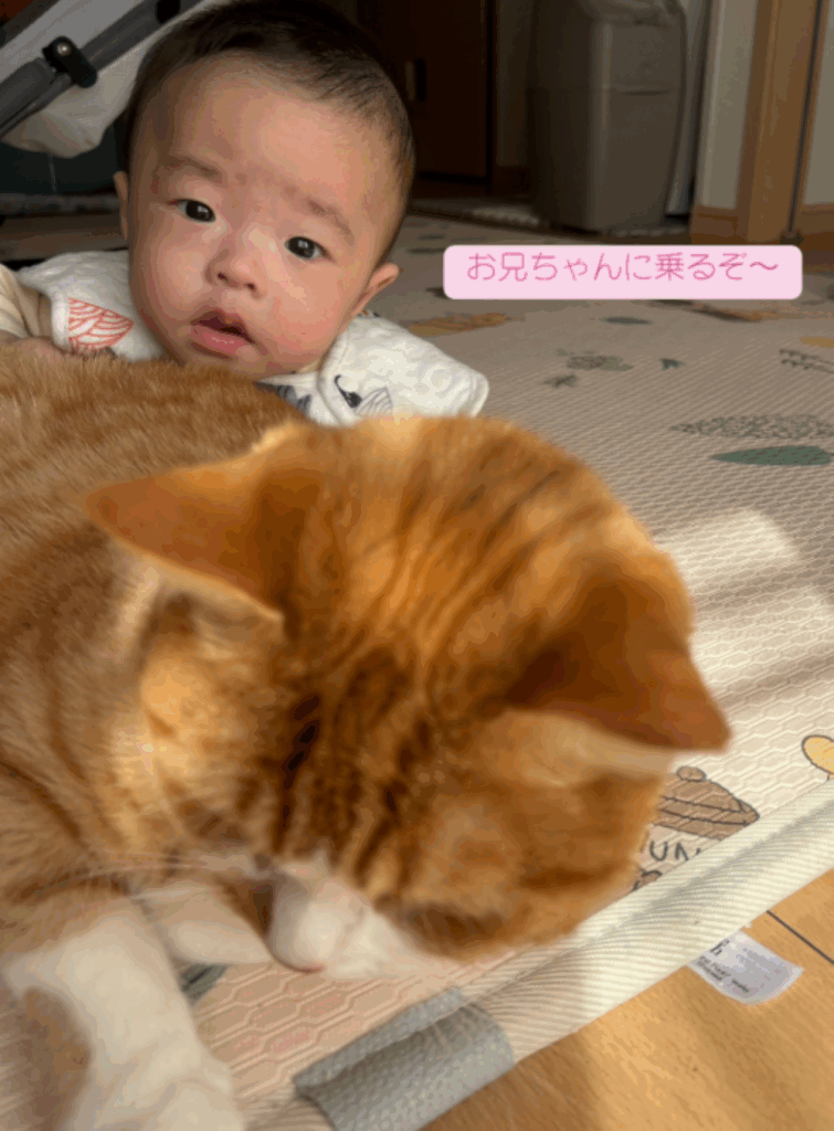 ぽこくんに乗りたい息子さん（＠popeco_さんより提供）