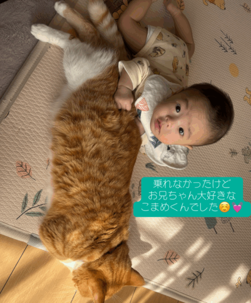 ぽこくん大好きな息子さん（＠popeco_さんより提供）