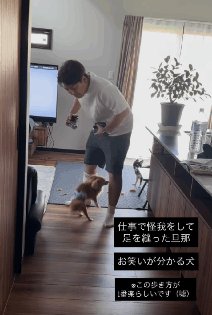 澪くんの体当たり（＠ruagram0128__さんより提供）