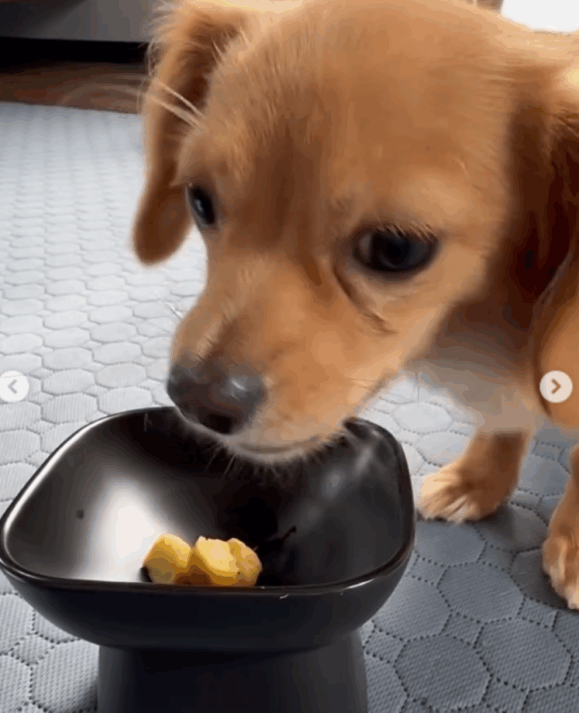 【実際の写真5枚】　妻が見た光景