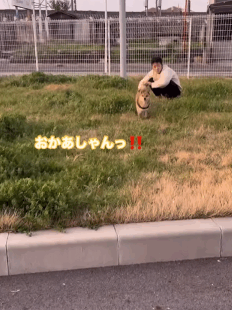 【実際の写真6枚】　ママが見た光景