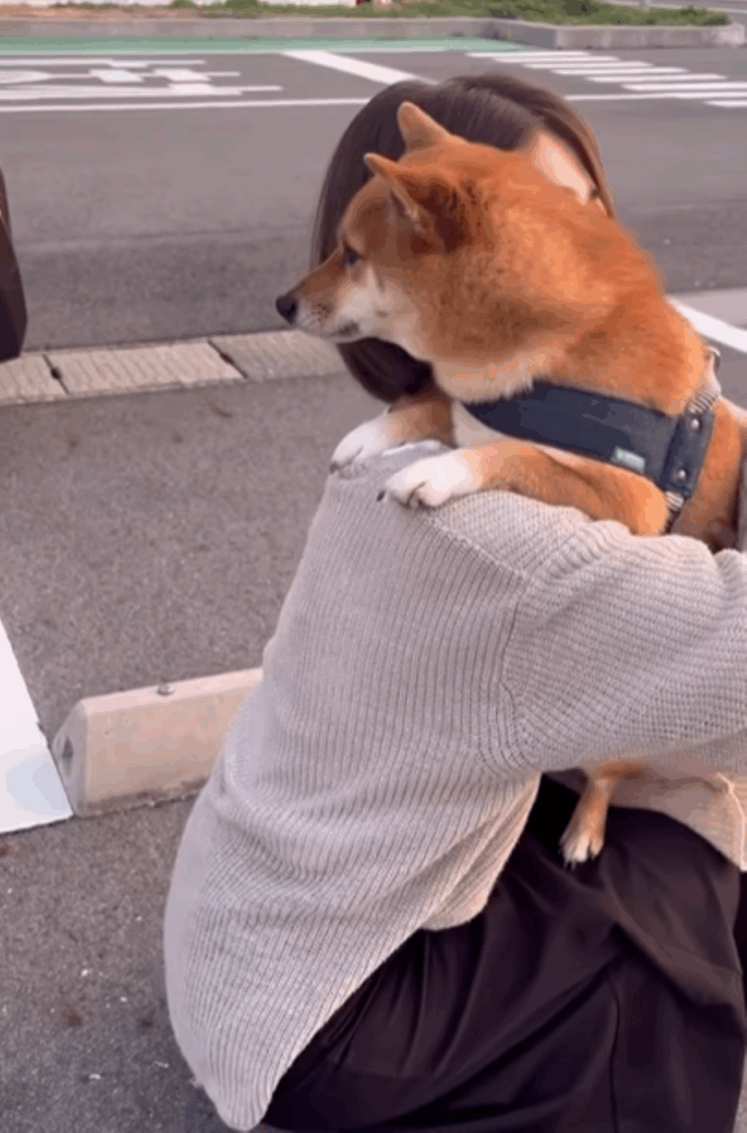 甘えるむぎくん①（＠bashiko214さんより提供）