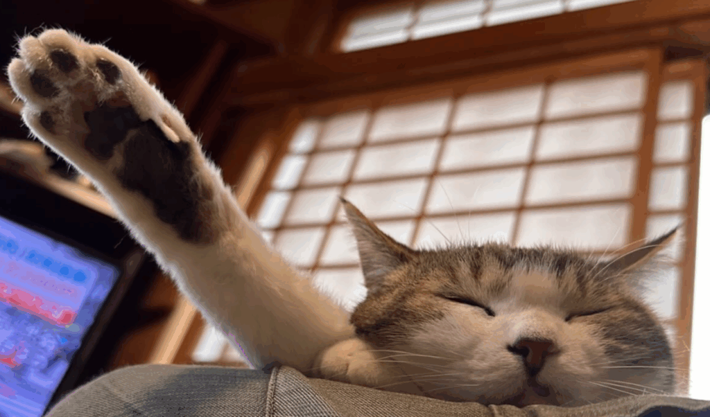 【実際の写真】　飼い主さんが見た光景