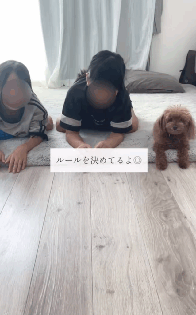 愛犬と撮影（＠chobiloghomeさんより提供）