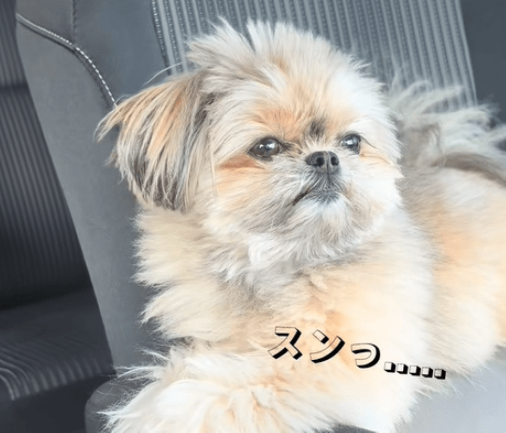 パパさんへの反応（＠tky080さんより提供）