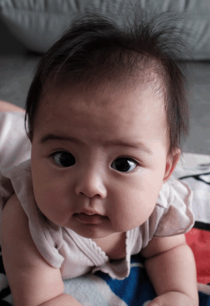 生後5ヶ月の頃（@_ta107_さんより提供）