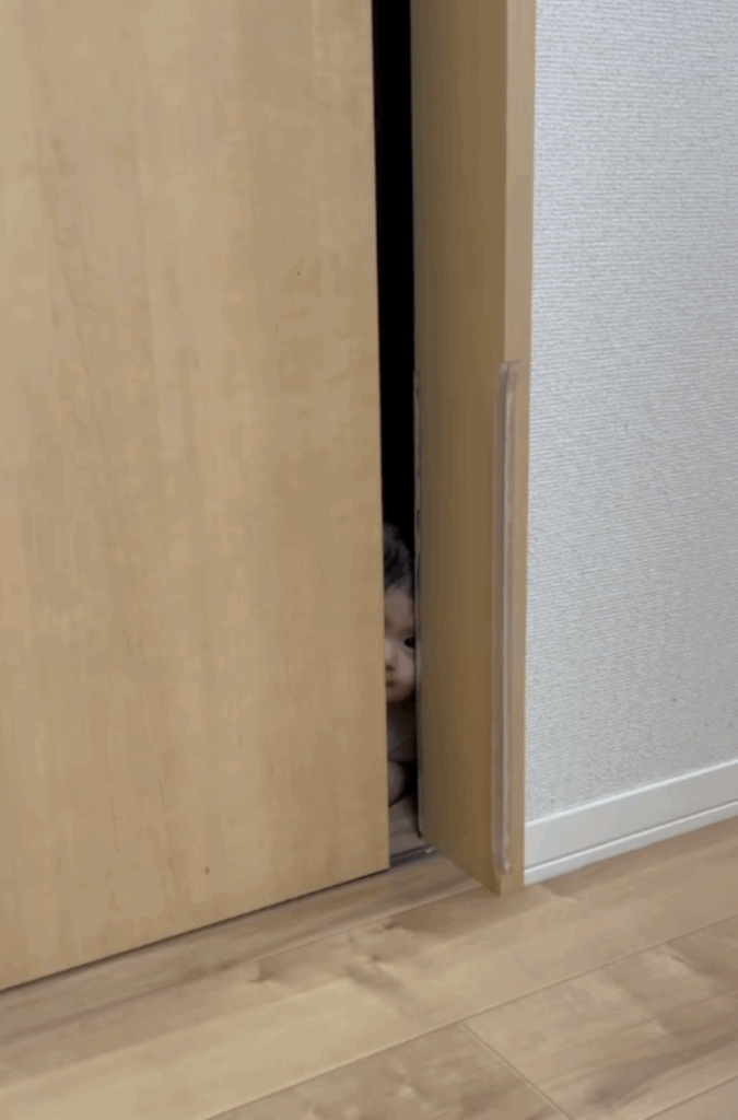 扉から感じる視線（＠aomama.32さんより提供）