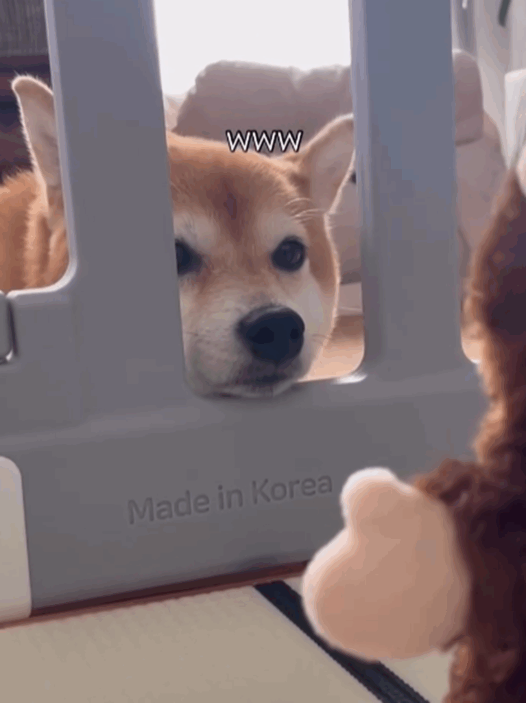 【実際の写真】現在の様子