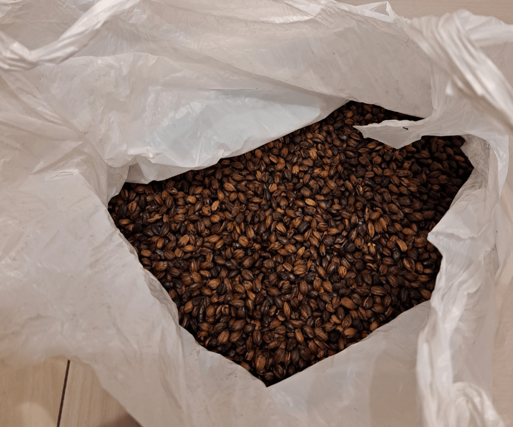 これが麦茶…？（@mmmm171799より提供）