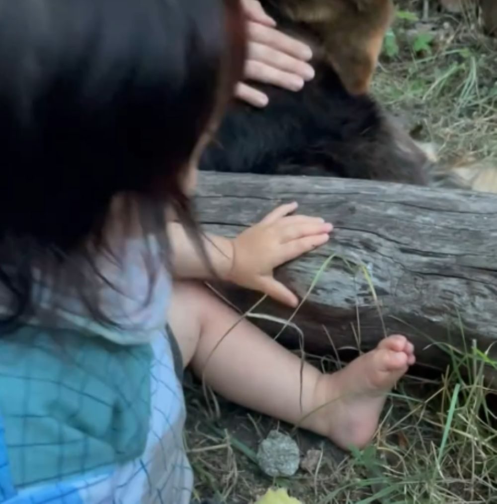 ワンちゃんをなでたいお子さん（＠sakikki.0さんより提供）
