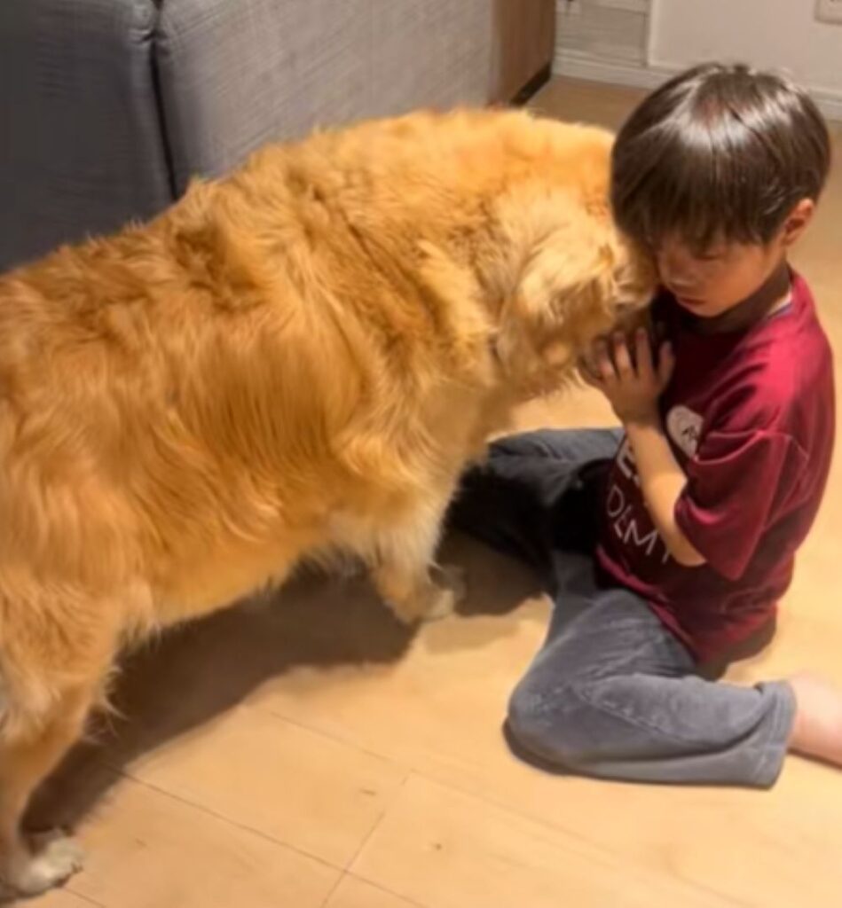 寄り添うきなこちゃん（＠kinako_3brosさんより提供）