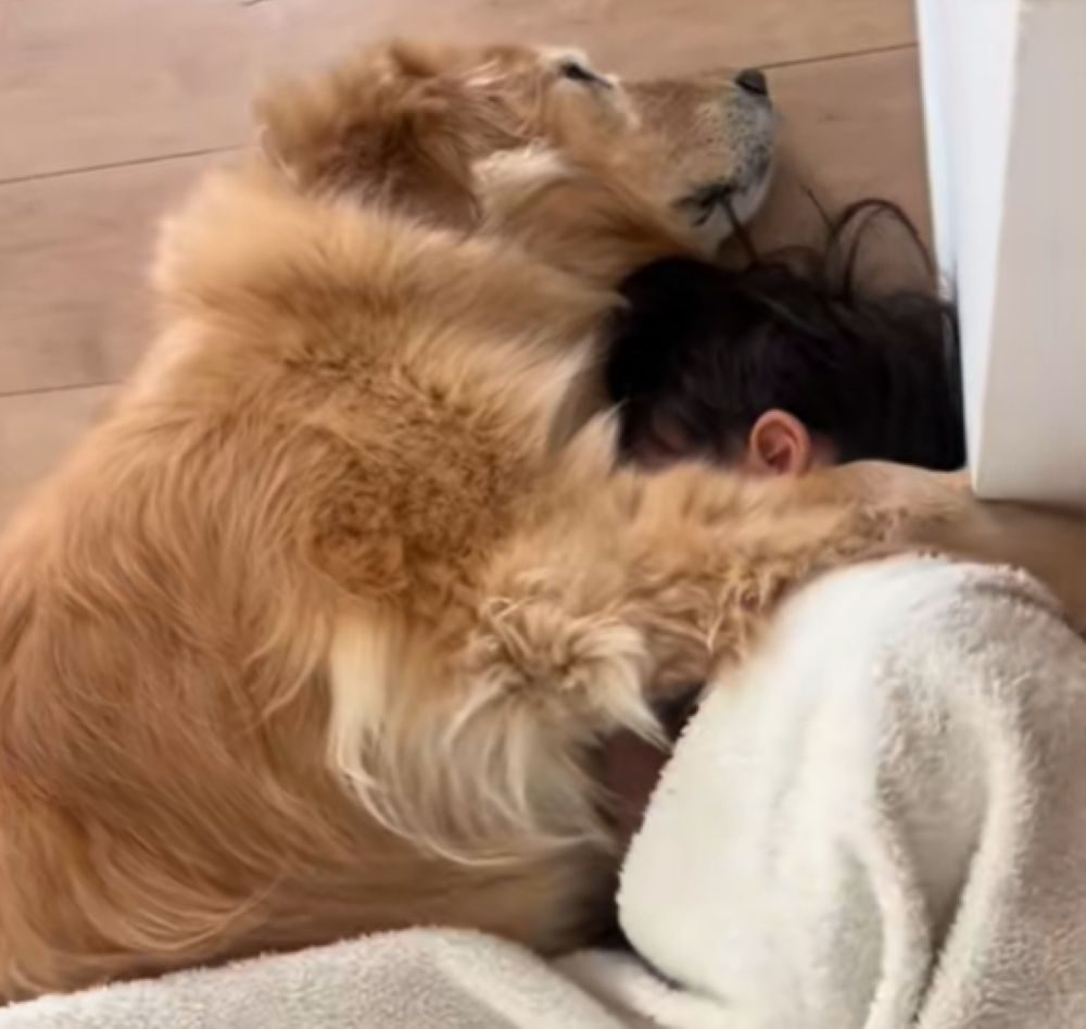 きなこちゃんと一緒の日々（＠kinako_3brosさんより提供）