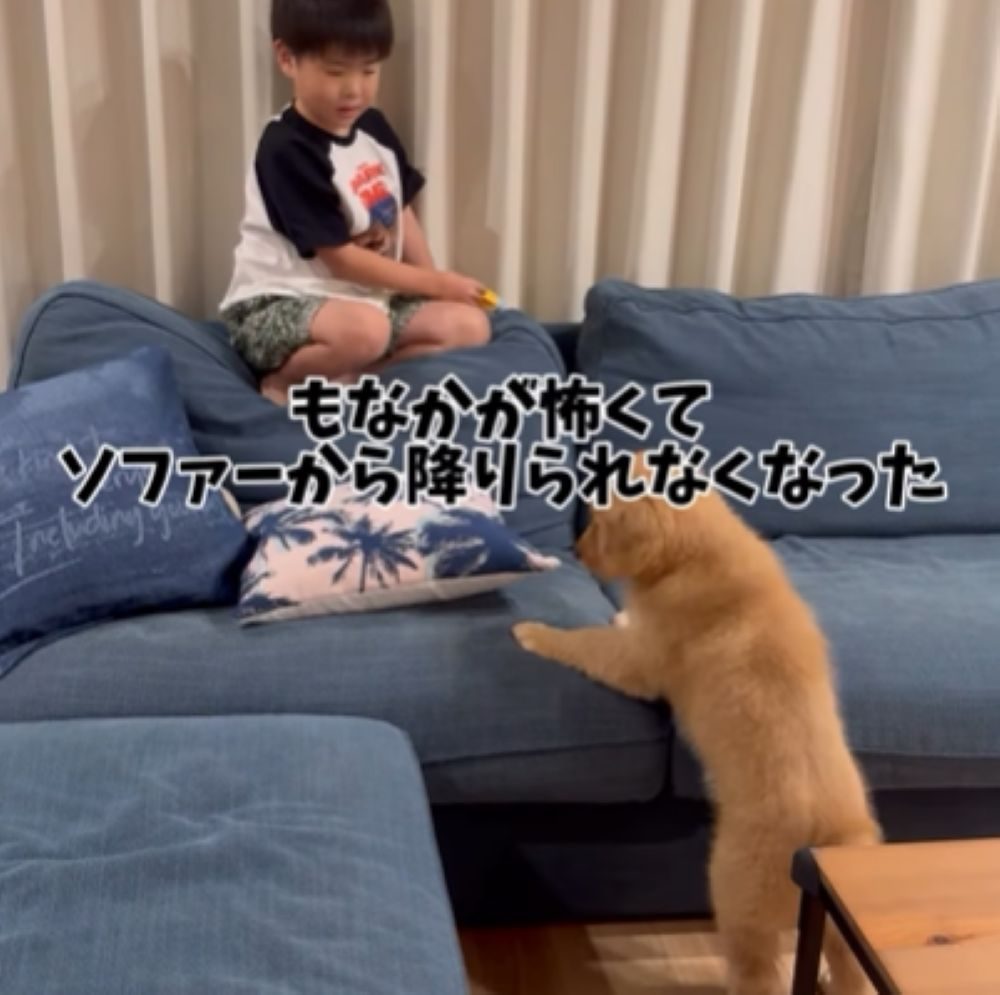 【実際の写真】現在の様子