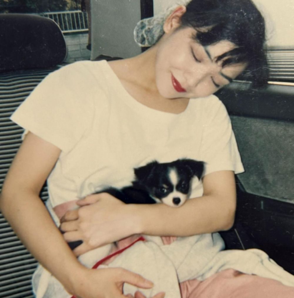 【実際の写真】現在の姿