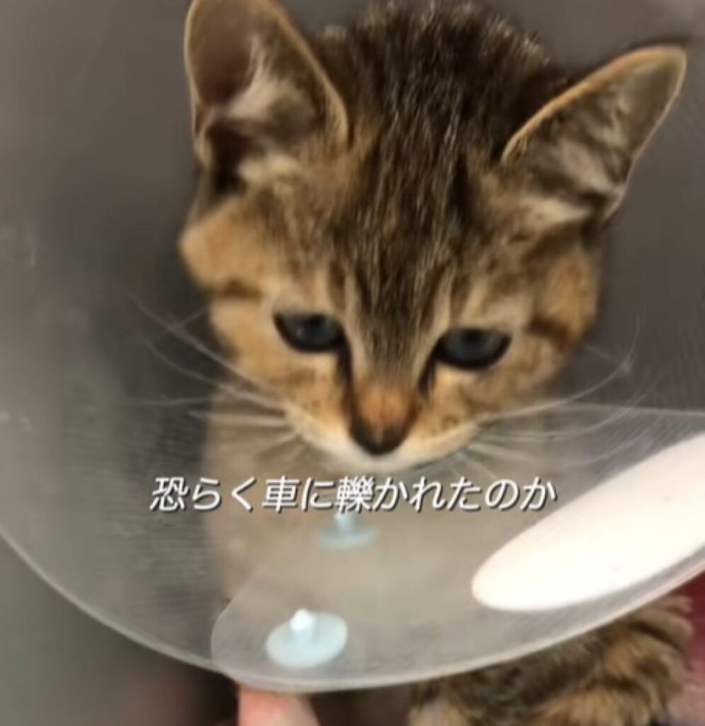 【実際の写真】現在の様子