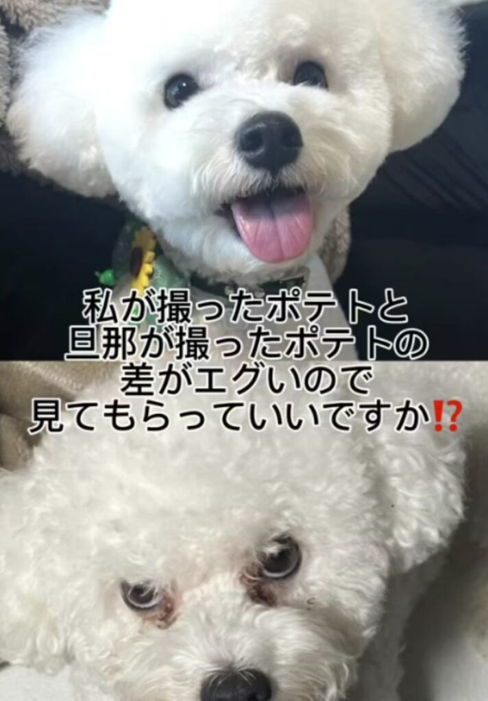 写真写りの差（＠potechip2525さんより提供）