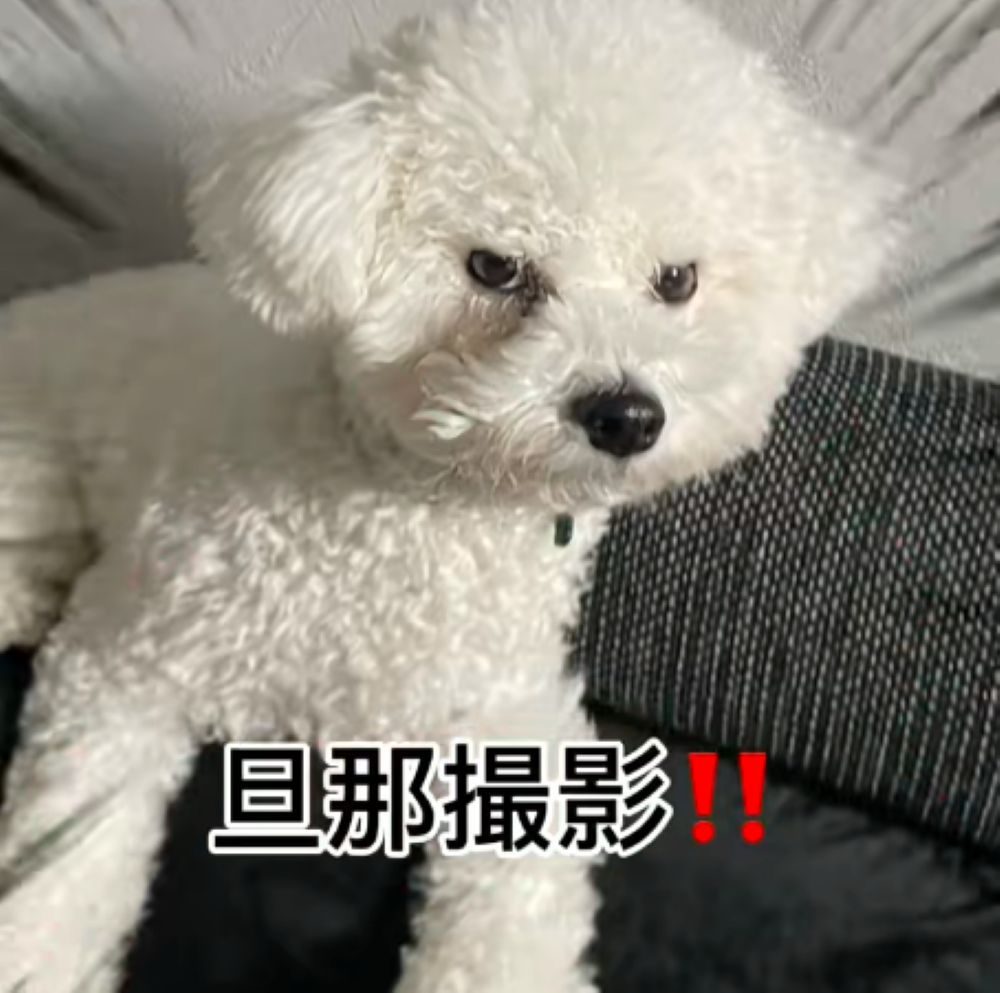 旦那さん撮影①（＠potechip2525さんより提供）