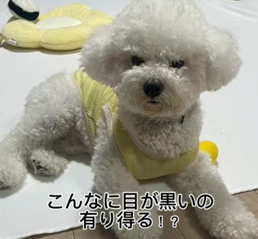 旦那さん撮影③（＠potechip2525さんより提供）