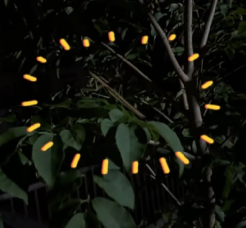 無事に木の上へ（＠wakanodisneyさんより提供）