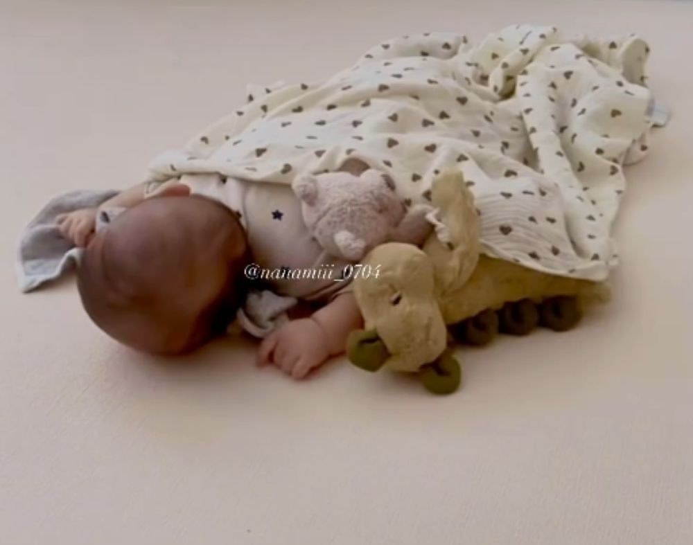 お昼寝アート③（＠omin._.nさんより提供）