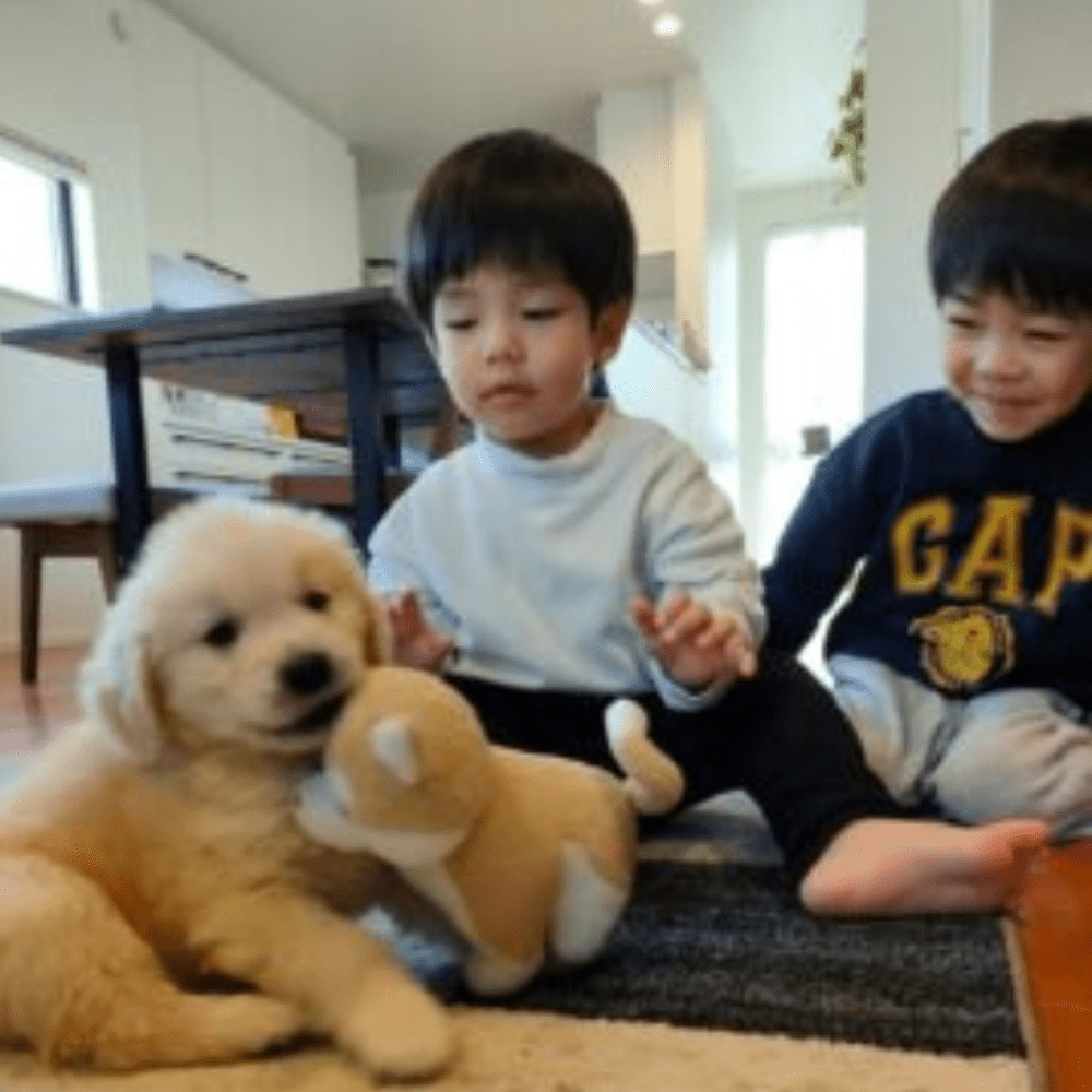 【実際の写真】現在の様子