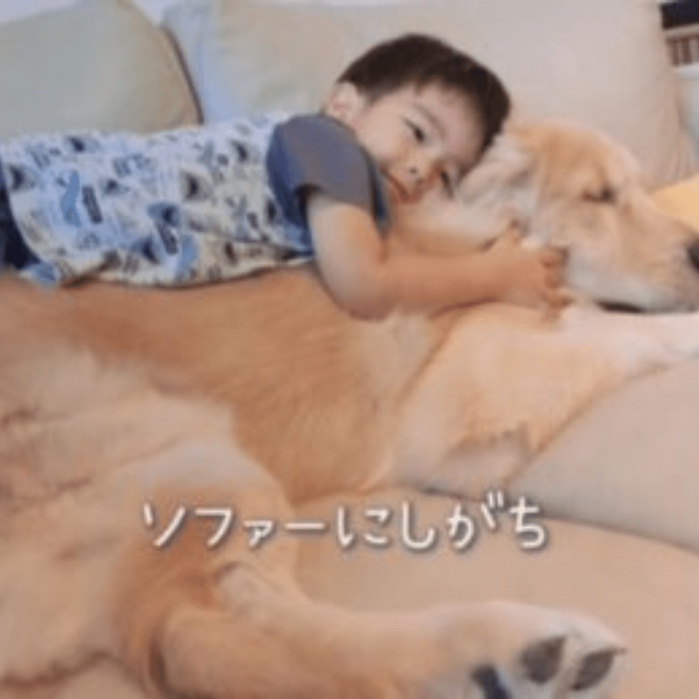 小さい頃の写真②（＠yuu160cmさんより提供）