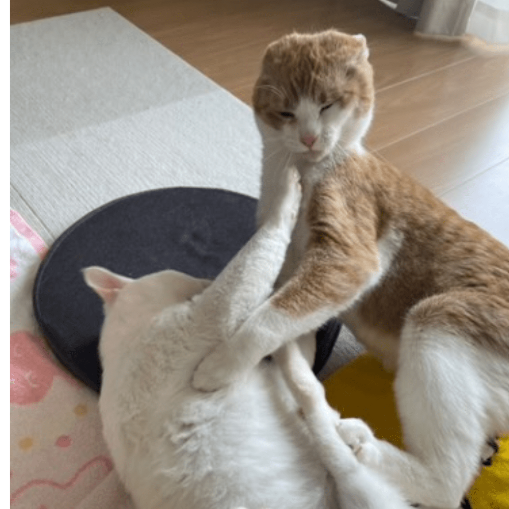 【実際の写真】現在の様子