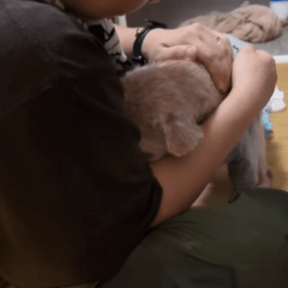 スタッフさんに撫でられている様子（＠teamoppo_comさんより提供）