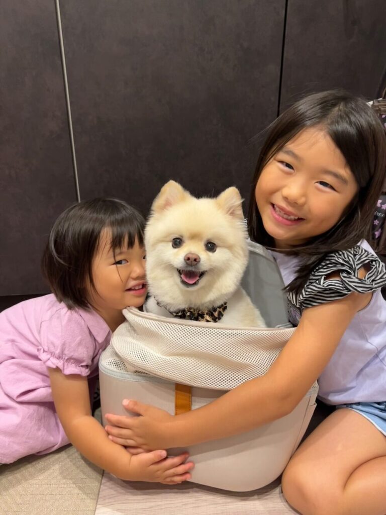 姉妹はやっぱり仲良し（＠rei_miy_pomeさんより提供）