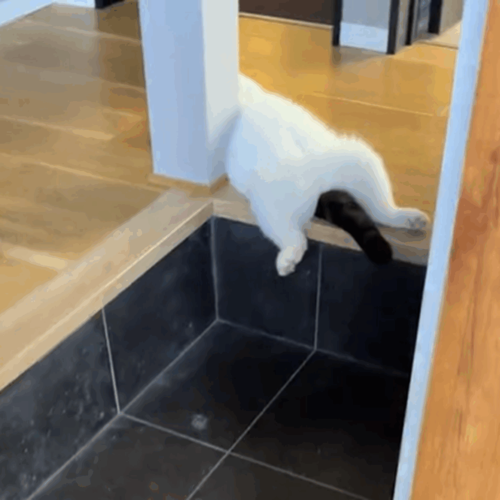 【実際の写真】まさかの光景