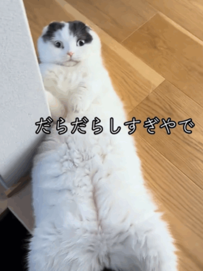 近づくまで気づかないの？（＠oidon_catさんより提供）