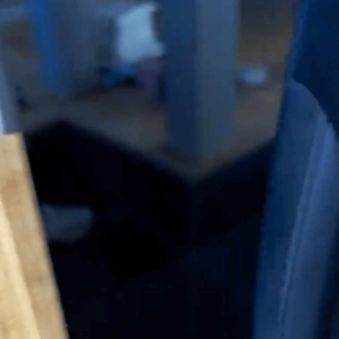 帰宅後…玄関ドアを開けた瞬間　目にしたまさかの光景に「なんやこれ笑」「疲れ一瞬で吹き飛ぶ」「最高のフォルム」