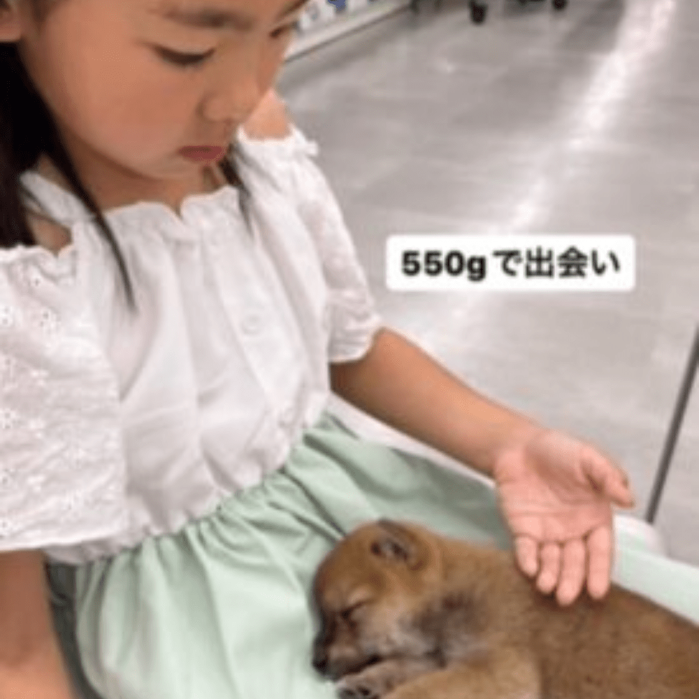 【実際の写真】現在の様子