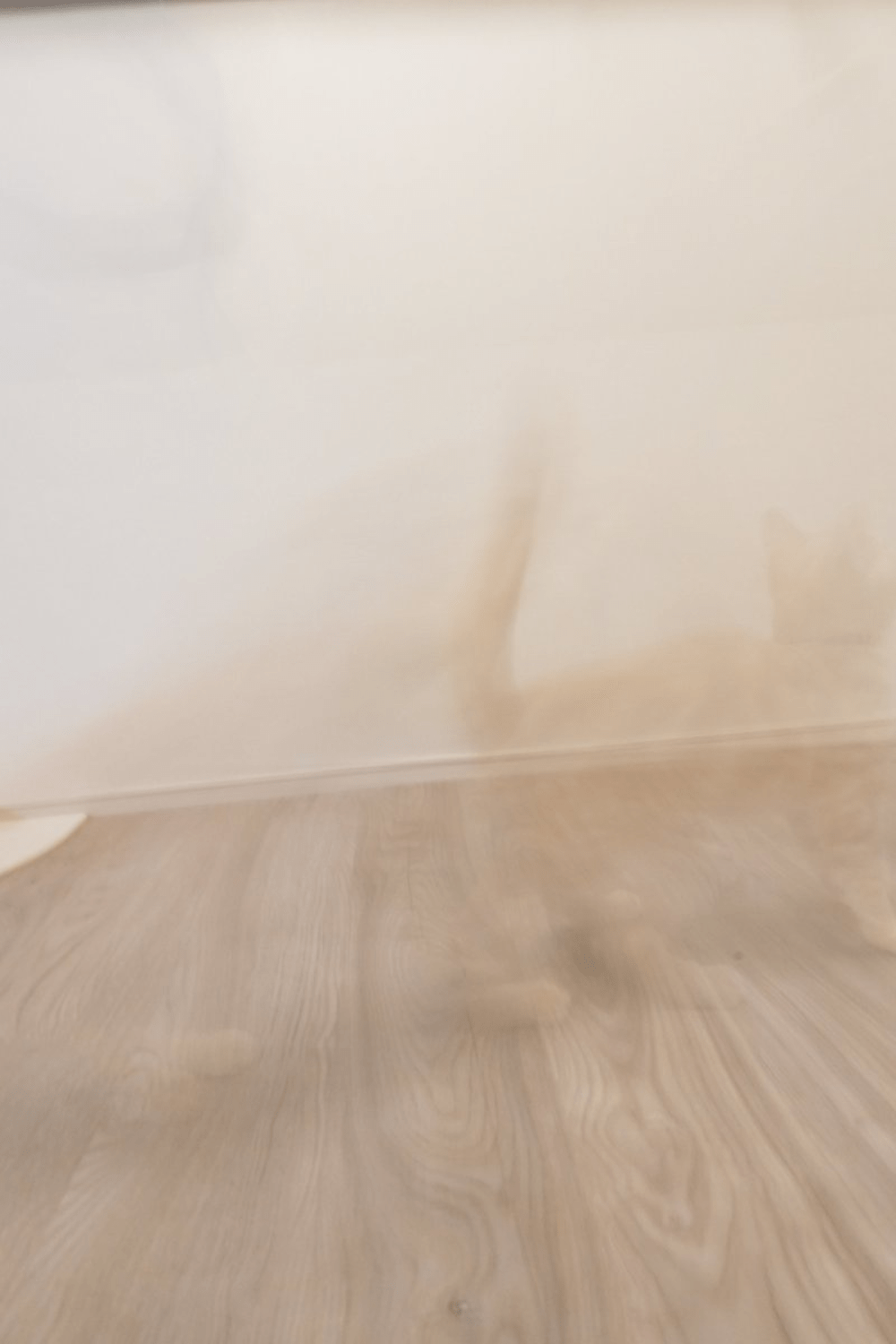 写真を撮った女性「あれ…」→よく見た結果…“心がきれいな人”だけが見える姿に「ほんのり見えました」「私の心は綺麗だった」