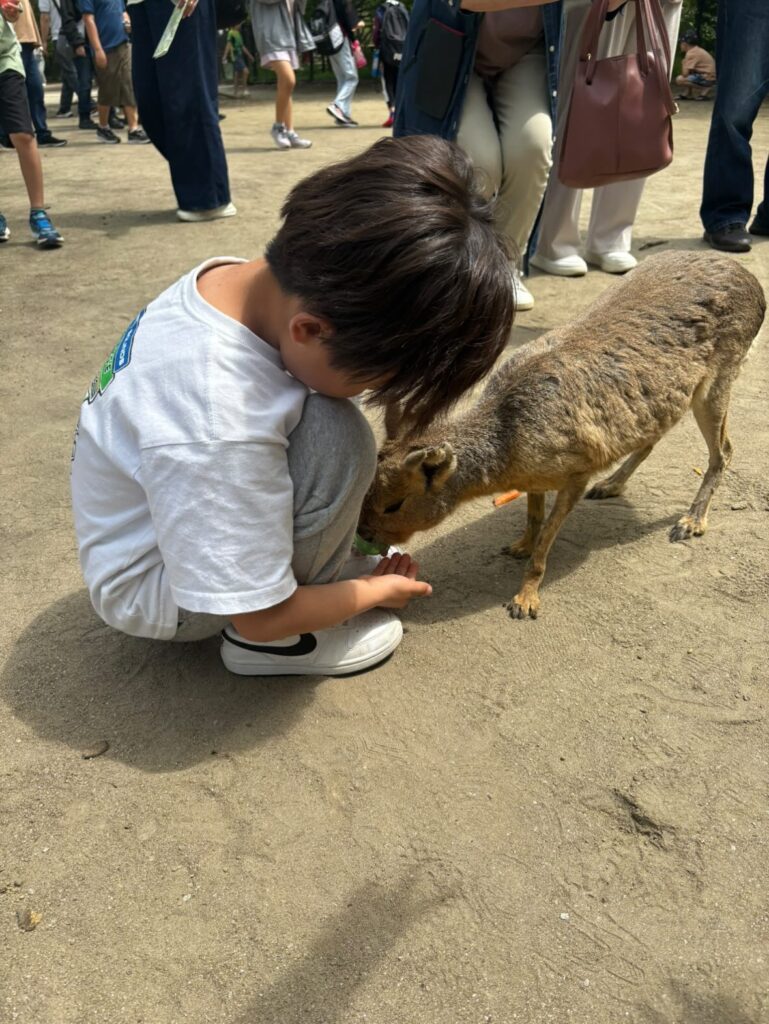 【実際の写真3枚】　母が見た光景