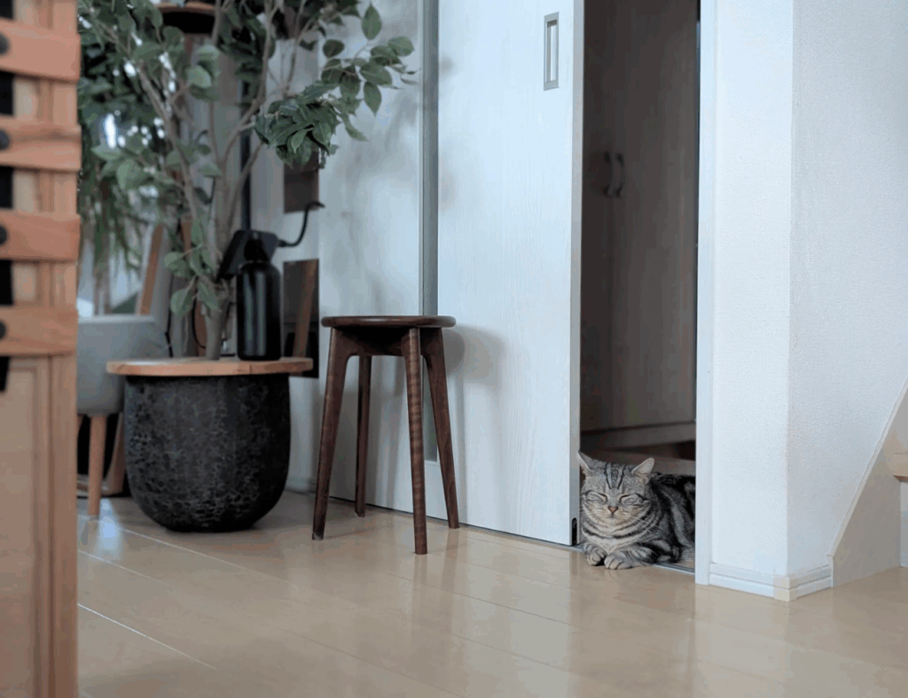 ドアを閉めたいです（@ayamame_plantsさんより提供）