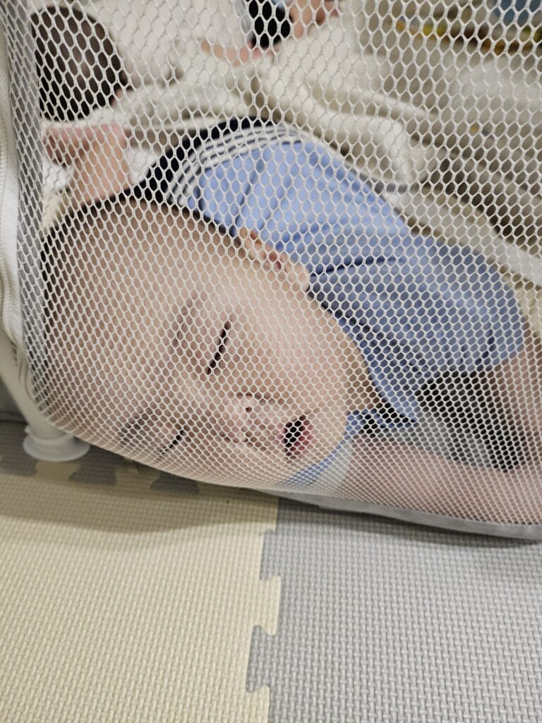 ネットに顔を埋めて寝る様子（＠usertatunokonkonoko8さんより提供）