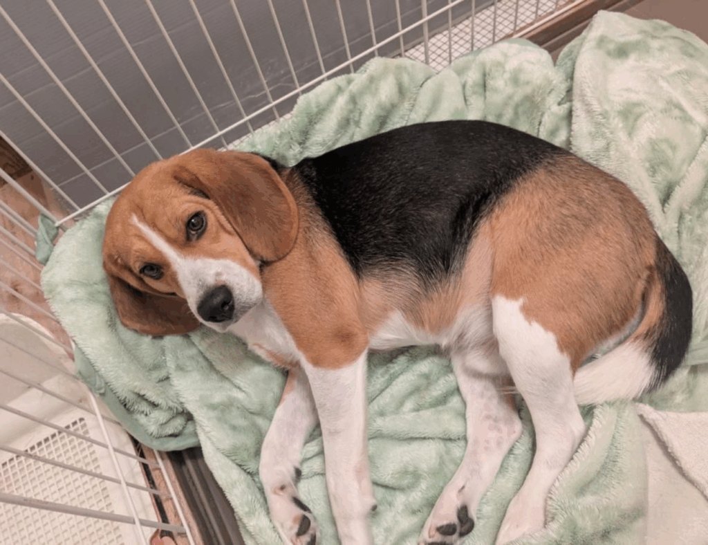 【実際の写真】頭上をよく見ると